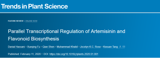 上海交通大学农业与生物学院唐克轩教授团队发表青蒿素和黄酮类生物合成协同转录调控综述文章